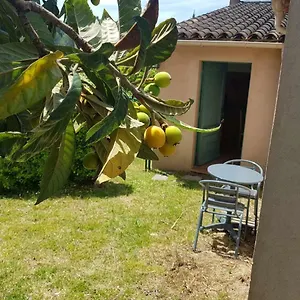Grand Appartement